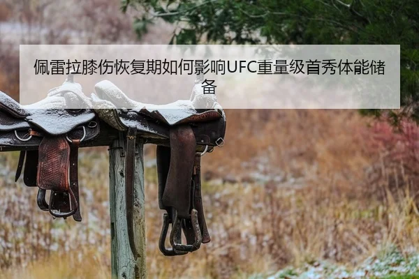 佩雷拉膝伤恢复期如何影响UFC重量级首秀体能储备