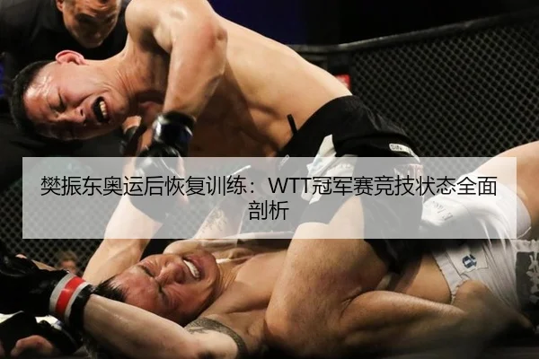 樊振东奥运后恢复训练：WTT冠军赛竞技状态全面剖析